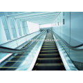 Less Noisy & More Secure Escalator